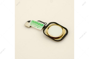 Кнопка HOME для iPhone 6/ 6 Plus на шлейфе, с клавишей, золото