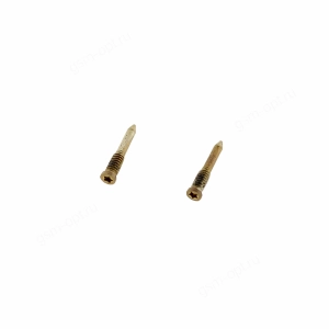 Винты нижние для iPhone 12/ iPhone 12 Mini/ iPhone 12 Pro/ iPhone 12 Pro Max золото, 2шт